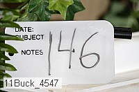 11buck_4547 proof