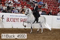 11buck_4550 proof