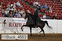 11buck_4553 proof