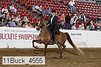 11buck_4555 proof