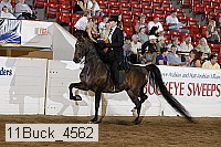 11buck_4562 proof