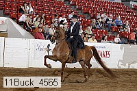 11buck_4565 proof
