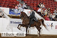 11buck_4568 proof