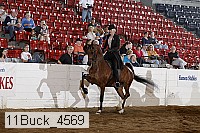 11buck_4569 proof