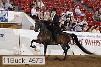 11buck_4573 proof