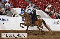 11buck_4575 proof
