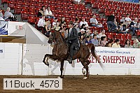 11buck_4578 proof