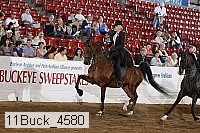 11buck_4580 proof