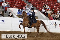 11buck_4582 proof