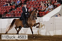 11buck_4583 proof