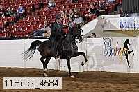 11buck_4584 proof