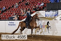 11buck_4585 proof