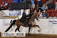 11buck_4586 proof