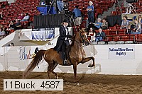 11buck_4587 proof