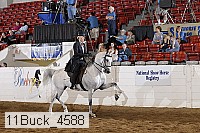 11buck_4588 proof