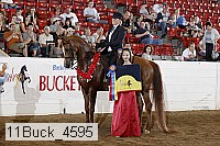 11buck_4595 proof