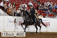 11buck_4600 proof