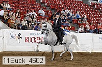 11buck_4602 proof