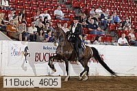11buck_4605 proof