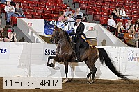 11buck_4607 proof