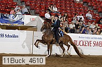 11buck_4610 proof