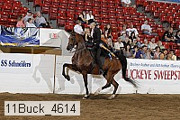 11buck_4614 proof