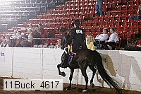 11buck_4617 proof