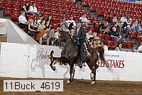 11buck_4619 proof