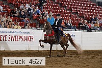11buck_4627 proof
