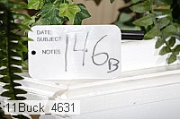 11buck_4631 proof