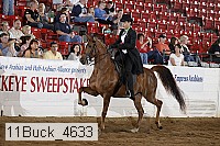 11buck_4633 proof