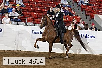 11buck_4634 proof