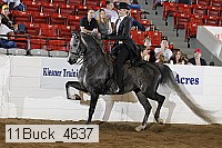11buck_4637 proof