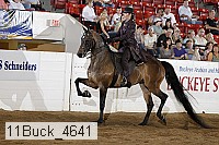 11buck_4641 proof