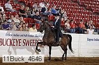 11buck_4646 proof