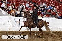 11buck_4649 proof