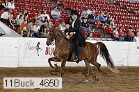 11buck_4650 proof