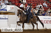 11buck_4655 proof