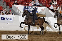 11buck_4658 proof