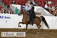 11buck_4660 proof