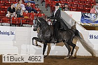 11buck_4662 proof