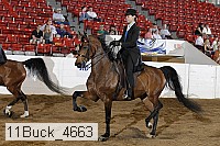 11buck_4663 proof