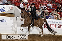 11buck_4665 proof