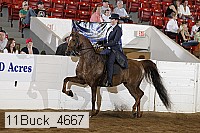 11buck_4667 proof