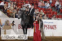 11buck_4673 proof