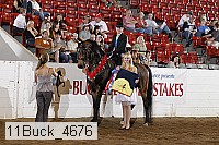 11buck_4676 proof