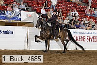 11buck_4685 proof