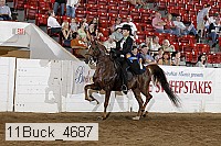 11buck_4687 proof