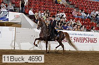 11buck_4690 proof