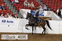 11buck_4695 proof
